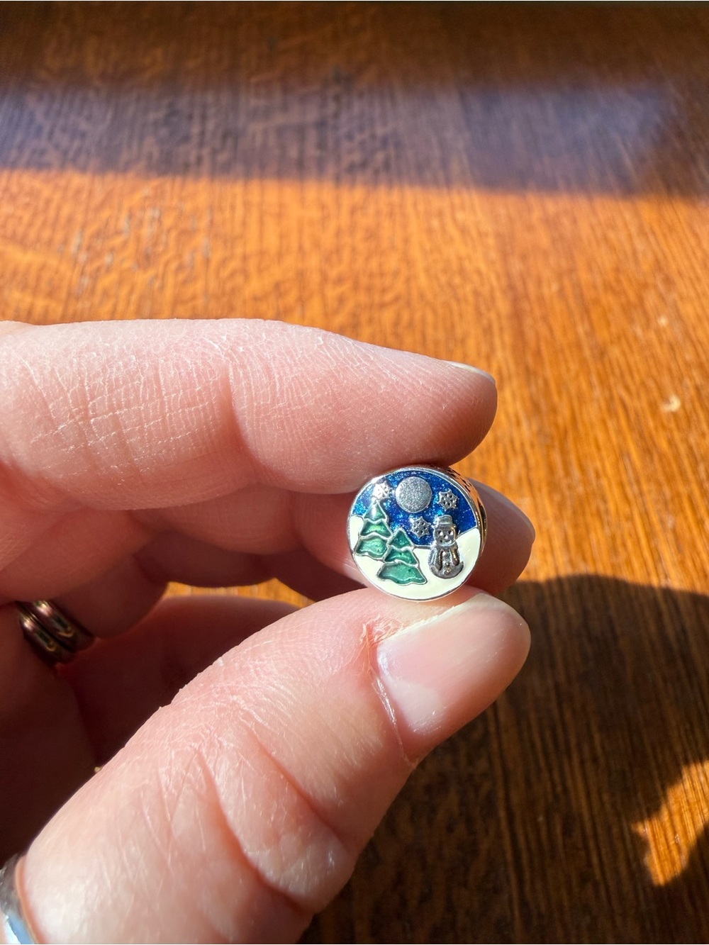Pandora Round Winter Scene Enamel Charm - Blue and Green